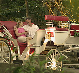 Lodging Ads Ons 9 carriage263 St. Francis Inn St. Augustine Bed and Breakfast