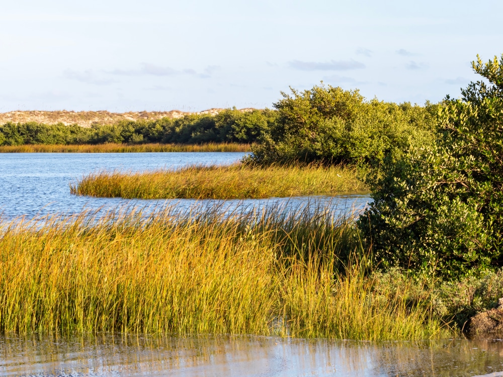 Spend an afternoon at Anastasia State Park