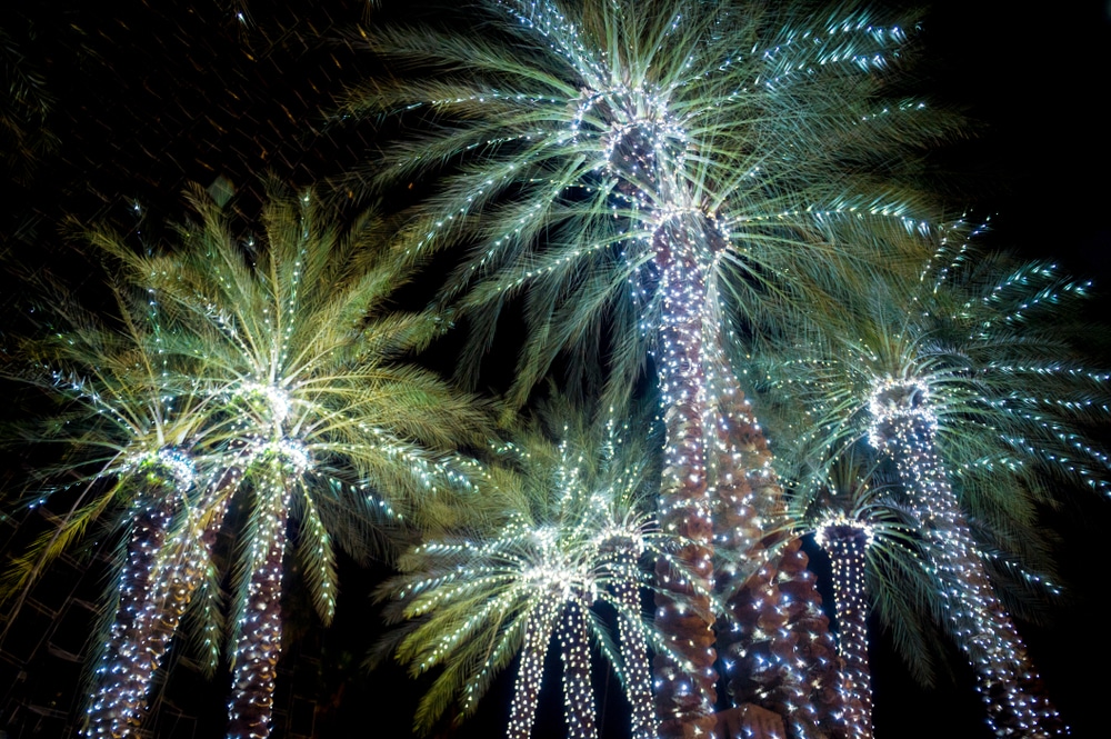 St. Augustine Night Of Lights 2021: The BEST Sparkle In Town