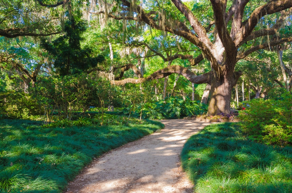 Washington Oaks State Park