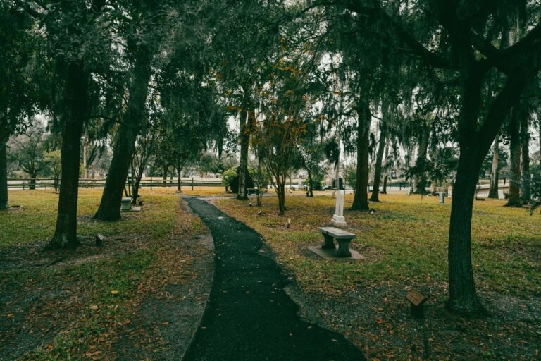 Get Your Thrills on the Best Ghost Tours In St. Augustine/Medieval Torture Museum near our Bed and breakfast