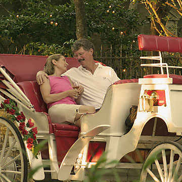 Couple on horse buggy tour