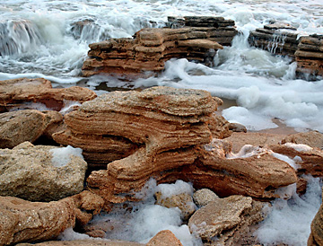 Ocean Side of Washington Oaks State Gardens