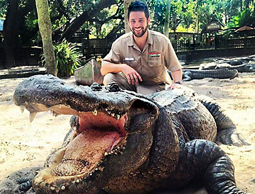 Alligator Zoological Farm trainer with huge crocodile